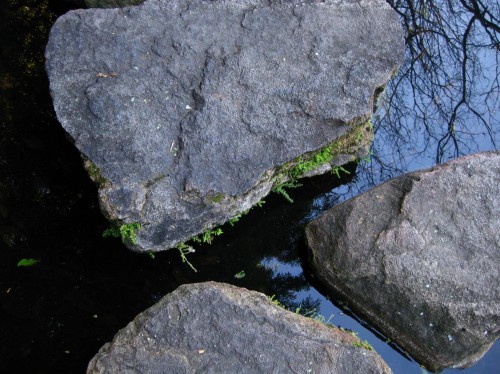 Stone and water A tight birds-eye shot of three stones in still water, grass is growing on the sides of the stones and you can see the reflection of the sky and some leafless trees in the water.