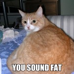 A lolcat image macro of a fat ginger cat with the text "YOU SOUND FAT" across the bottom of the photo.