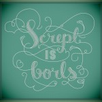 Digital graphic of some ornate lettering that says "Script is borls" in, ironically enough, script.