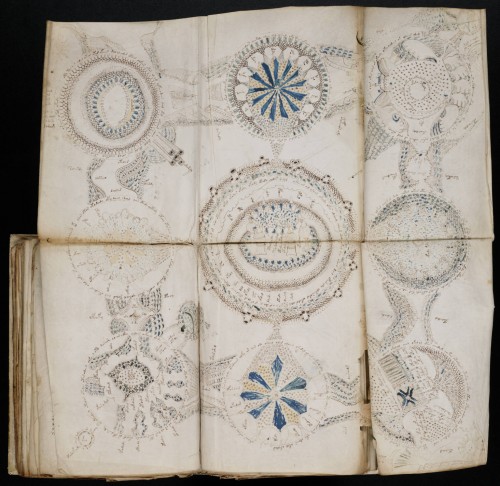 A photo of a page from the Voynich manuscript, the page has been unfolded and embellished with highly detailed illustration in circular patterns. The symbols look like flowers, and some are too small to describe, but the manuscript remains undecyphered to this day.