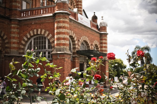Photo of red roses in focus in the foreground with an old red brick building behind them slightly blurry.