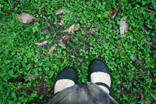 Photo of my feet in plastic mary jane crocs against really green damp grass.