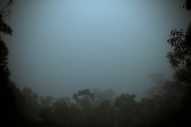 Photo of the view off a side of a mountain but it's obscured by thick white cloud. Silhouetted trees frame the bottom and sides of the photo.