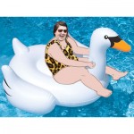 Photoshopped image of me on a large inflatable swan in a pool.