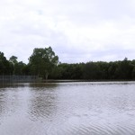 A panoramic photo of a park that has been filled with brown water. To the left are cricket cages, in the background are trees on the right side is a road and rail bridge.