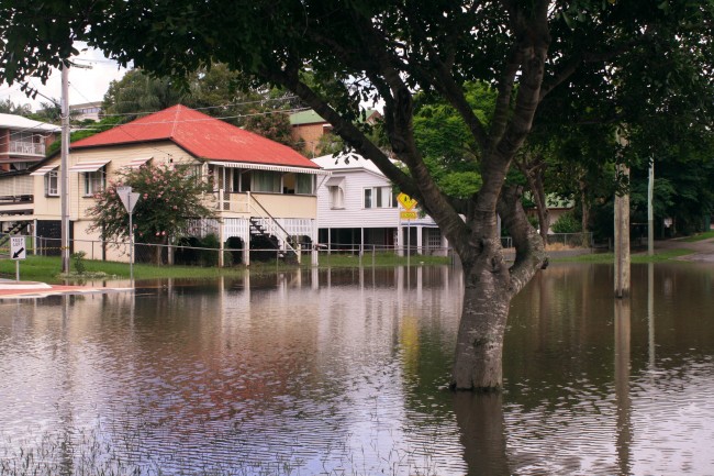Photo of a flooded street. Houses now have a river frontage! A tree sits in the foreground, emerging from the water.