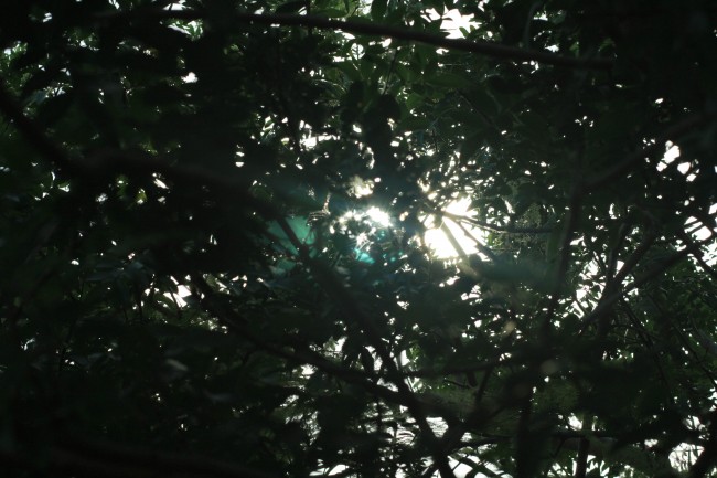 It's nice in the shade.