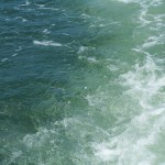 Photo of green river water with the white frothy trail left from our boat motor.