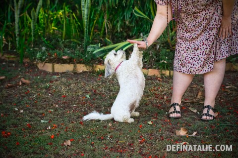 Miffy loves high fives.