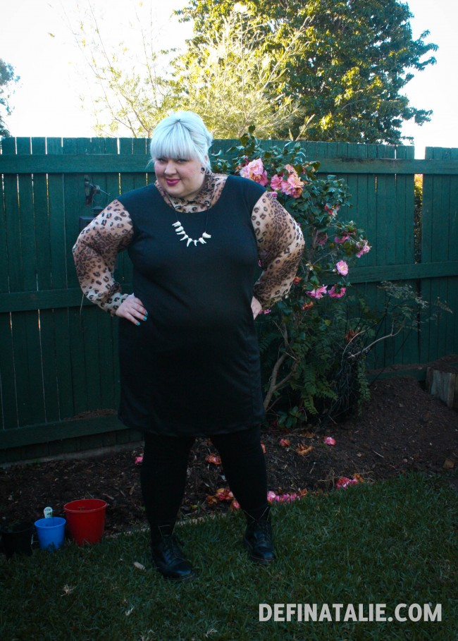 Sassy fatz