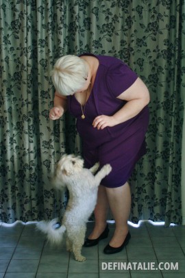 Miffy jumping up on my knees in a blur of cute.