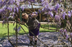 Me peeking through wisteria vines wrapping around a rotunda.