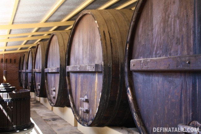 Barrels of fun!