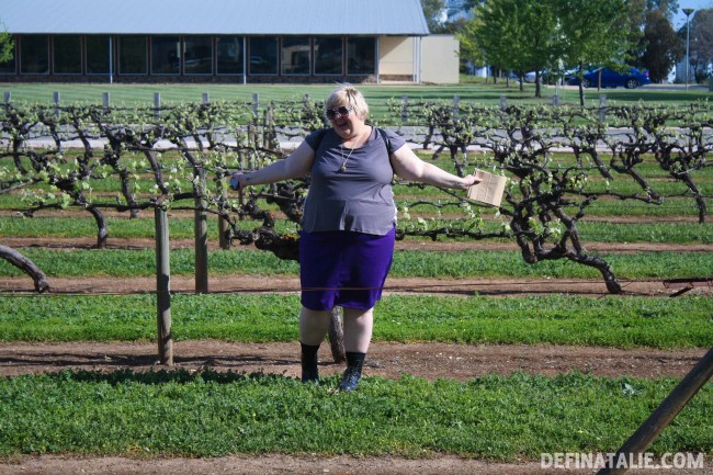 VINO