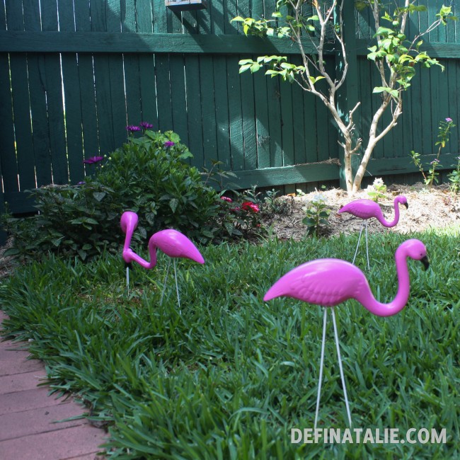 Step outside into the Miffy-pee blemished lawns of Perkhaus.
